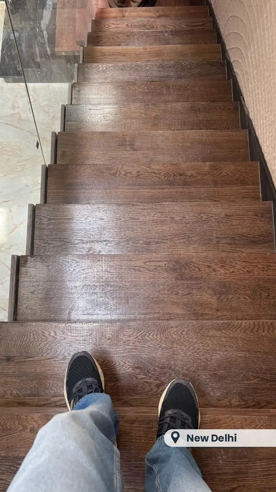 Dark oak stair treads with glass railing, New Delhi