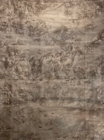 Walnut Metallic Burl veneer