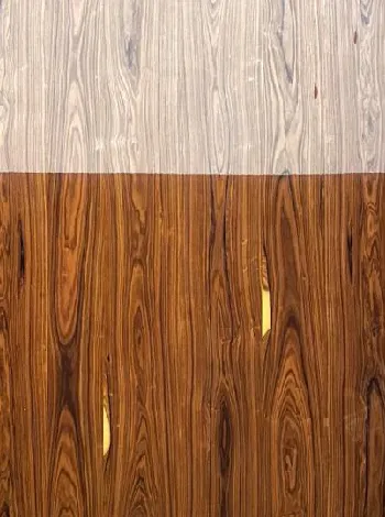 Santos veneer