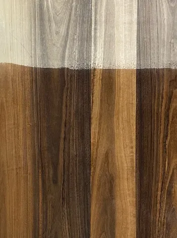 Eucalyptus Crown veneer