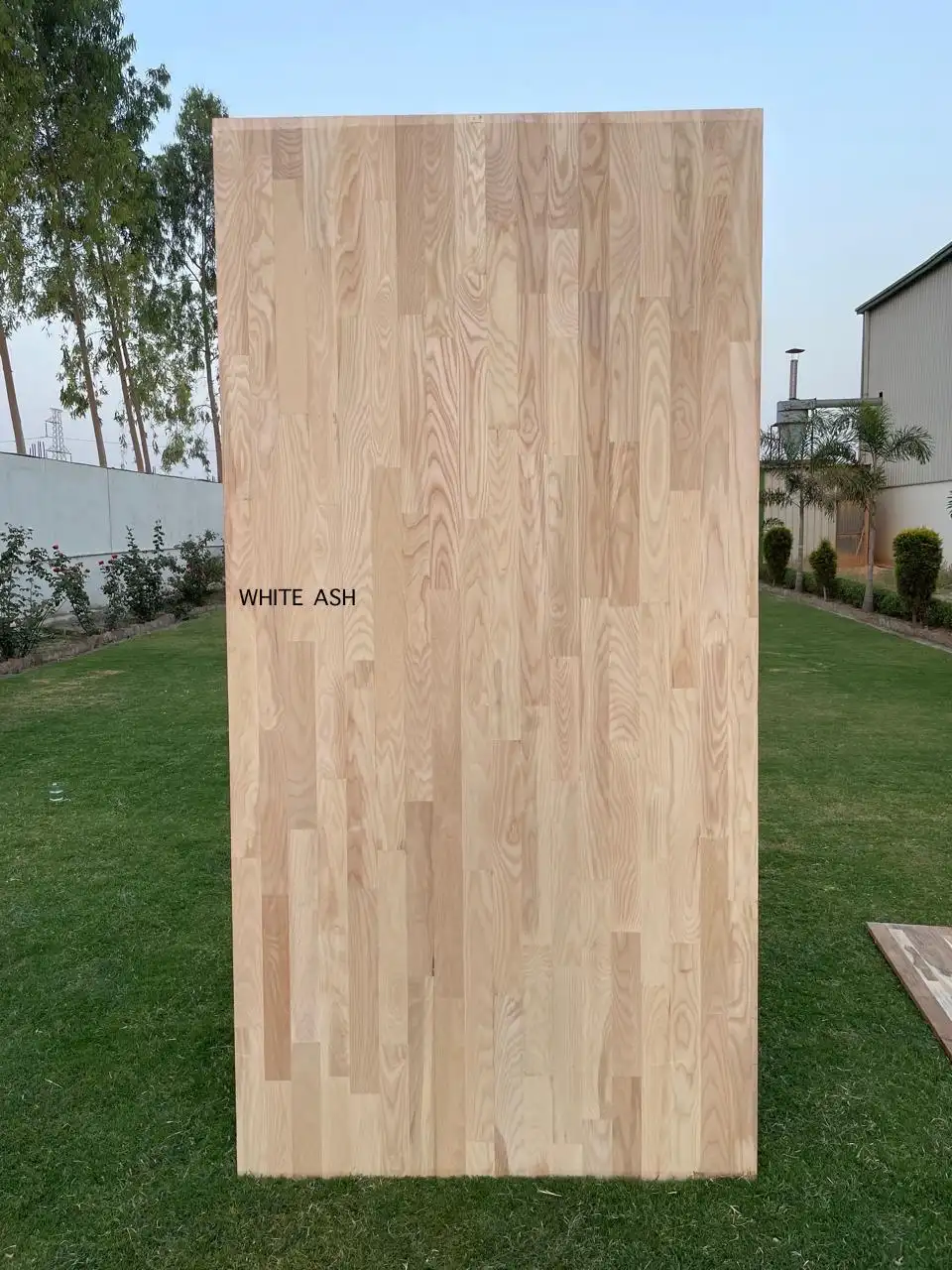 White Ash finger joint board