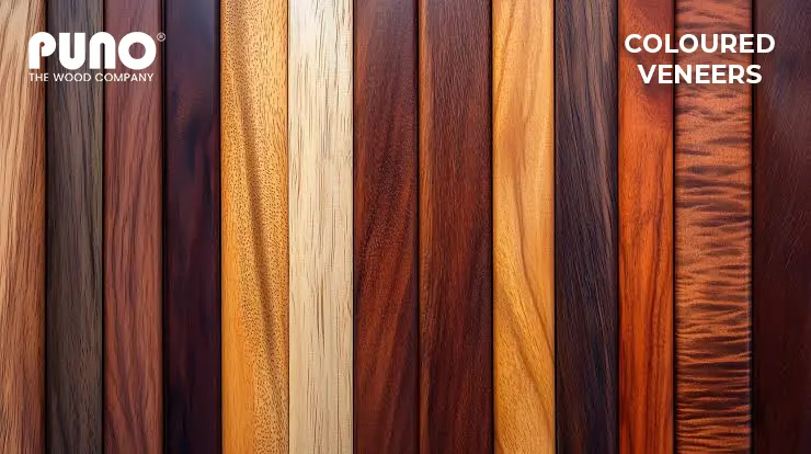 coloured veneers banner